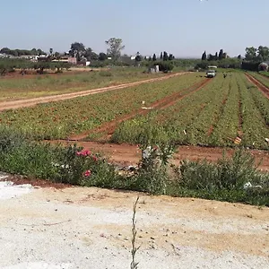 La Campagnola Locogrande